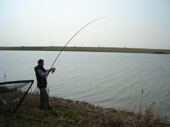 hobaia 2009 - 1805151669056900239076482629n.jpg